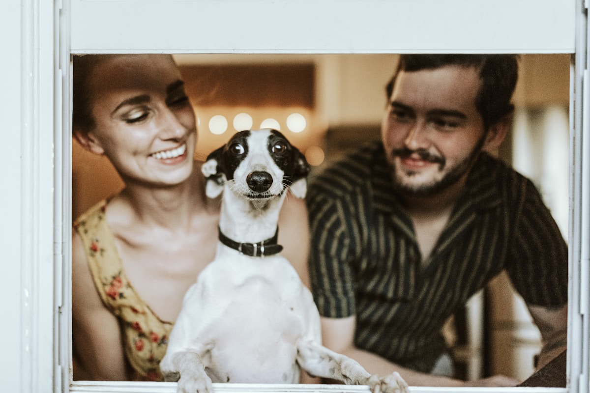 Small dog eating from a food bowl